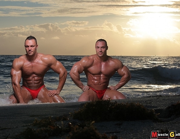 bogaert_brothers_1