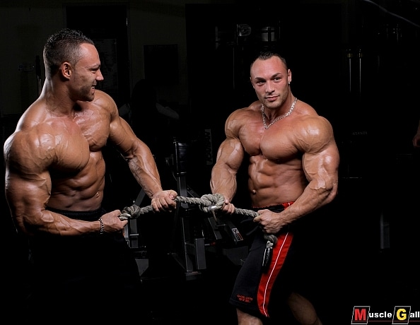 bogaert_brothers_2
