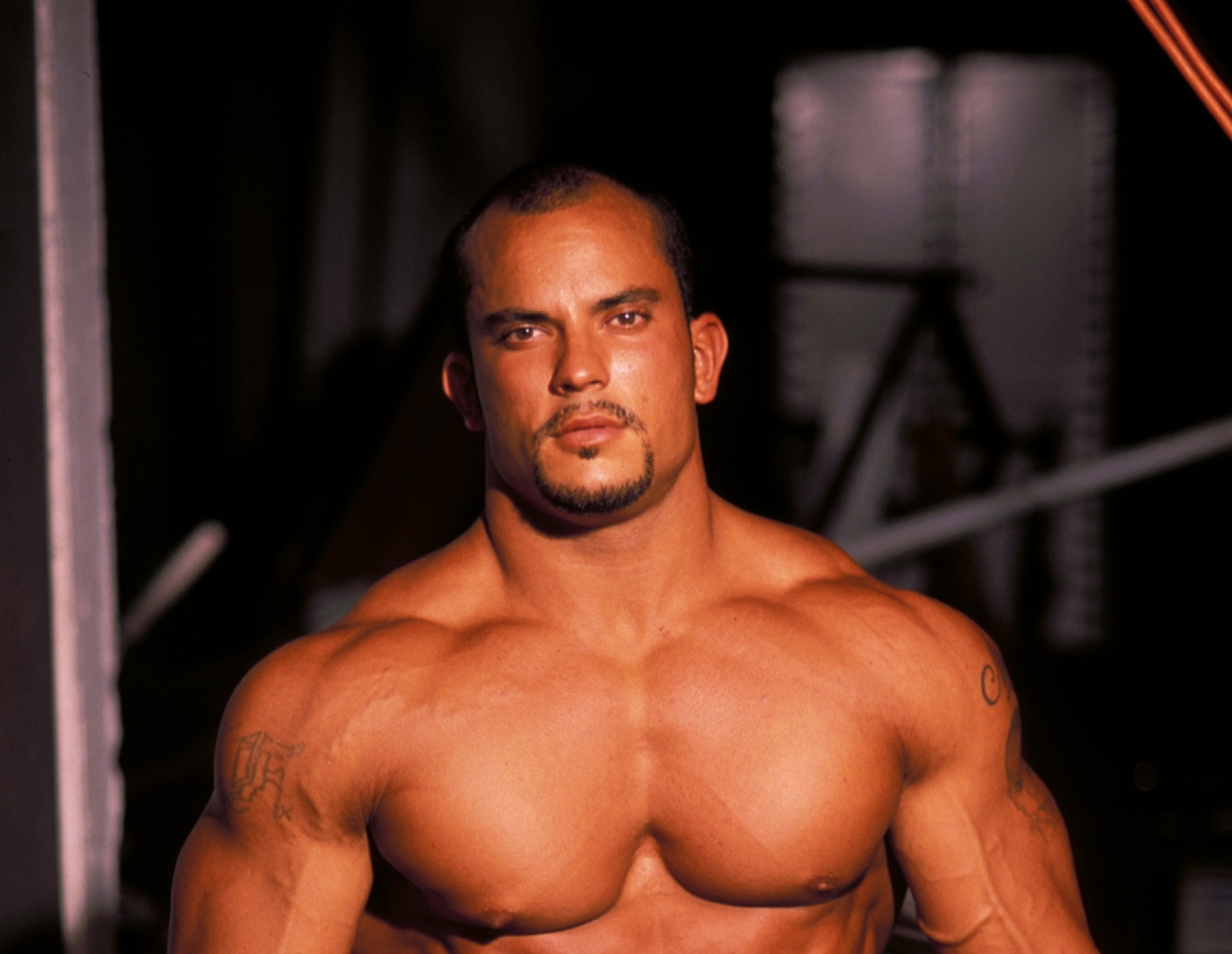 Corey Probst 1 - Male Bodybuilders and Muscle Videos at MuscleGallery.com