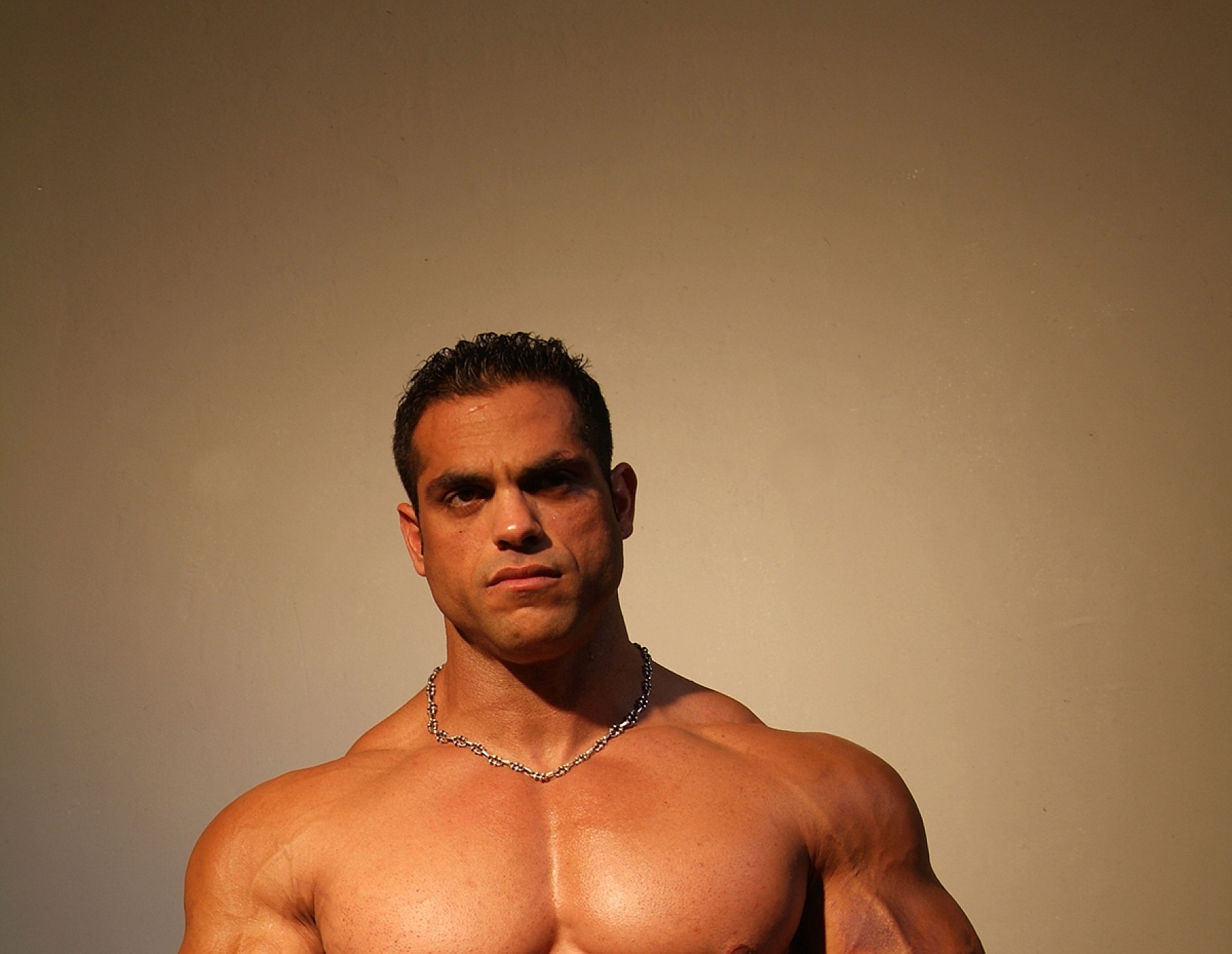 Male Bodybuilders and Muscle Videos at MuscleGallery.com