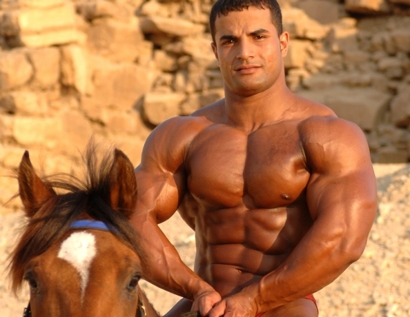 egypt_20071_4